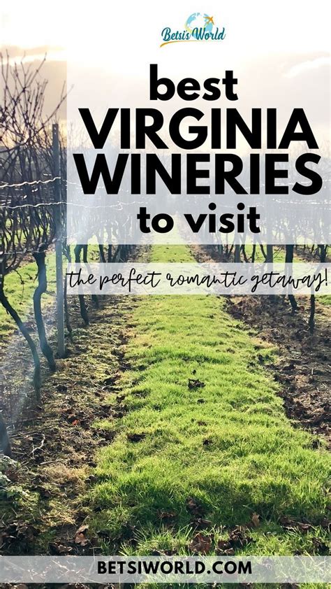 A Vineyard In Virginia With Green Grass Cloudy Sunset Skies And The