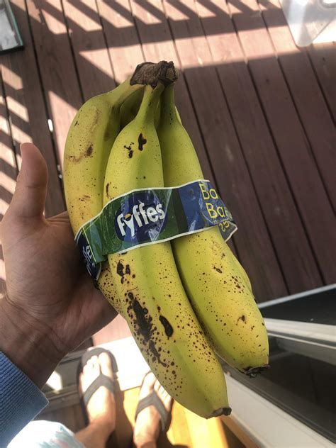 Tell Me Why These Bananas Are Overripe And Not Ripe At All At The Same