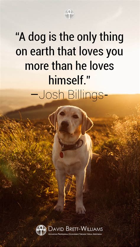 Maybe you would like to learn more about one of these? Who doesn't love dogs? A dog is the only thing on earth that loves you more than he loves ...