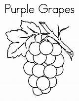 Grapes Coloring Purple Grape Vine Preschool Printable Fruit Sheets Drawing Getcolorings Draw Bestcoloringpagesforkids Visit Leaf sketch template
