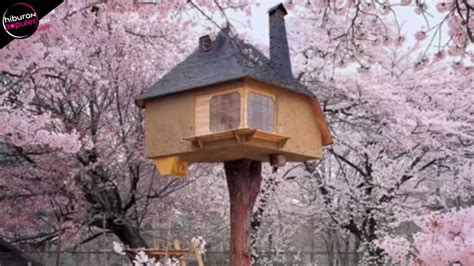 Cara membuat rumah pohon dari kayu. 10 Rumah Pohon Paling Unik Di Dunia - YouTube