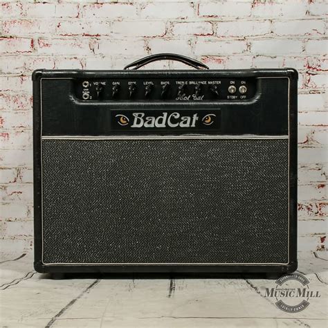 Bad Cat Hot Cat 30w 1x12 Guitar Combo Amp With Cover X2275 Reverb