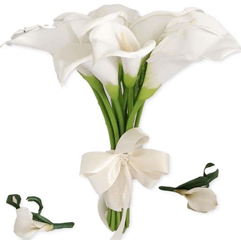 Calla Lily Png Images Transparent Free Download