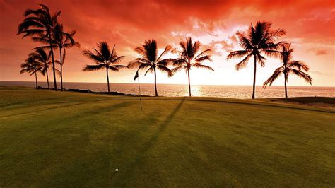 Hd Wallpaper Golf Course Green Grass Sunset Horizon Palm Tree Golf