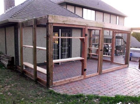 Maybe you would like to learn more about one of these? Pin by John Creviston on Cat enclosures (for other animals ...