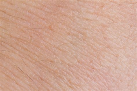 Human Skin Close Up Stock Photo By ©degimages 175456316
