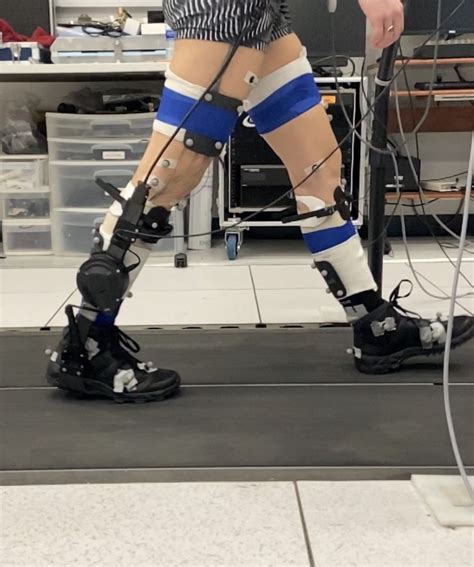 The berkeley lower extremity exoskeleton (bleex) entered development in 2000 with a $50 million grant from darpa. Research - Human Neuromechanics Laboratory