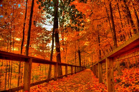 Free Download Wallpapers Beautiful Autumn Scenery Wallpapers 1600x1200
