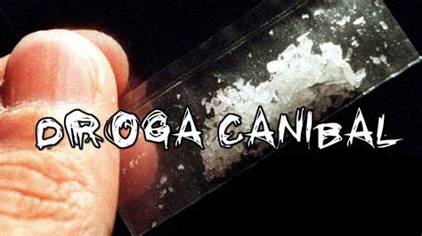 LA DROGA CANIBAL - YouTube