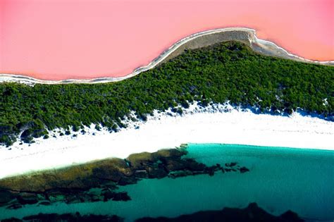 The Mysterious Pink Lake Of Australia Lake Hillier Tours Panda