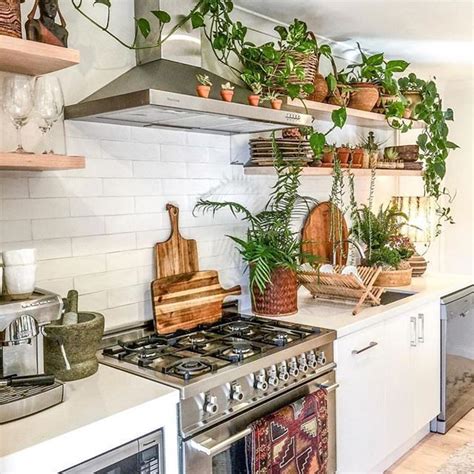 Cool Kitchen Design With Plants Ideas Decor