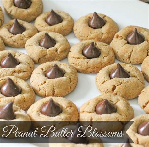 I always have them on christmas and they are the first to leave the cookie plate. The Best Peanut Butter Blossoms Recipe | Peanut butter ...