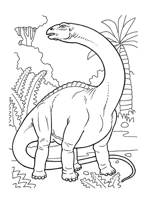 Dibujo De Brachiosaurus Para Colorear Dinosaurios Para Pintar Porn