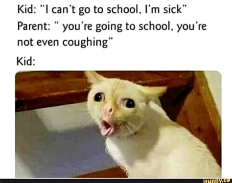 Need Cheering Up These Coughing Cat Memes Will Make Your Day Film Daily