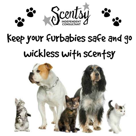 Popular items for safe for pets. Scentsy is safe for Pets! http://Lindseyclark.scentsy.us ...