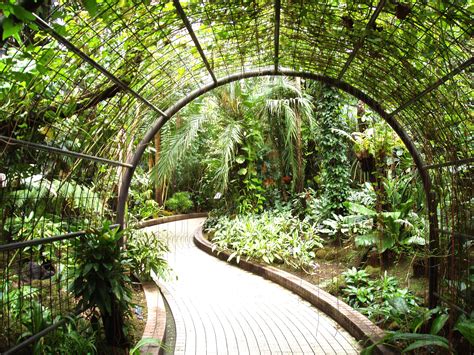 Filekyoto Botanical Garden Inside Conservatory Wikipedia