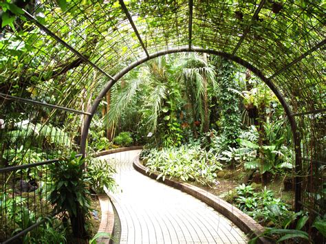 You may unsubscribe via the link found at the bottom of every email. File:Kyoto Botanical Garden - inside conservatory.JPG ...