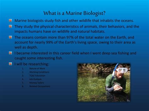 Ppt Marine Biology Powerpoint Presentation Free Download Id2230658