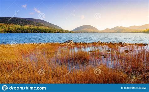 Eagle Lake In Acadia National Park Stock Photo Image Of Autumn Hills