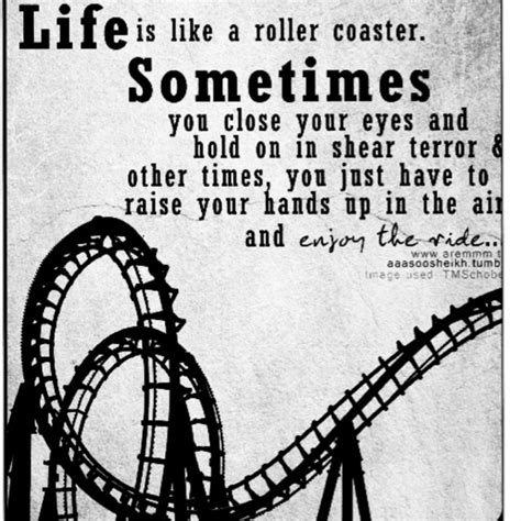 Life Is A Roller Coaster Quotes Quotesgram