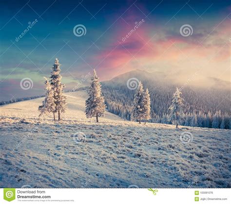 Great Winter Sunrise In Carpathian Mountains With Snow Covered F Stock