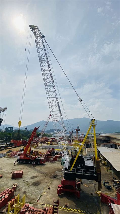 New Favco Luffing Tower Crane For Us Market International Cranes And