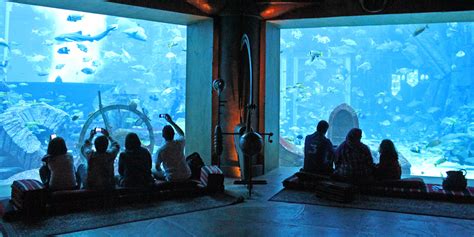 The Lost Chambers Aquarium À Latlantis Skyland Tourism France