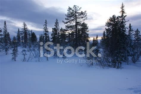 Winter Calm Stock Photo Royalty Free Freeimages