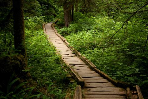 The Most Beautiful Hike In Washington State