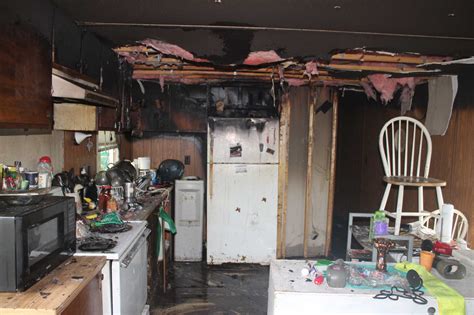 Family pet perishes in Willis fire after alerting sleeping residents