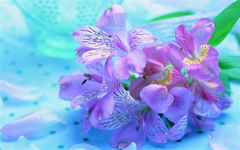 Pretty Flowers Backgrounds - Wallpaper Cave