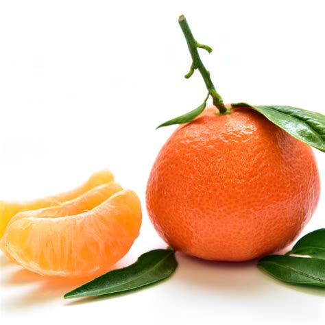 A Guide To Mandarins Types Of Mandarin Oranges And Their Benefits