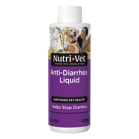 7 Best Diarrhea Medicines For Dogs In 2024