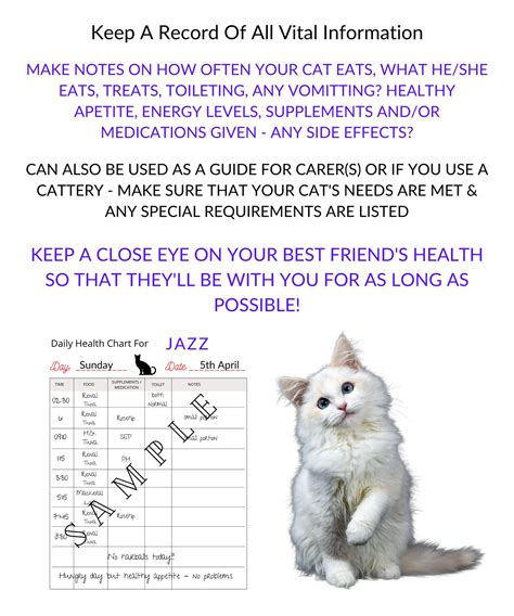 Printable Journal For Cats Cat Daily Health Tracker Pets Etsy