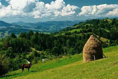 Magical Transylvanian Landscapes By Birds Eye View Video Hungary Today