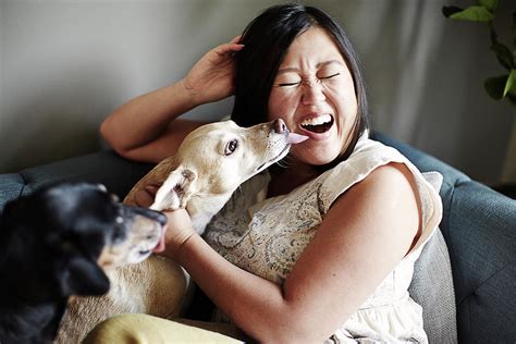 Mid Adult Woman Pulling A Face Whilst Being Licked By Dogs On Sofa