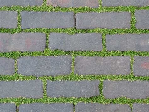 Free Images Nature Grass Plant Ground Texture Floor Cobblestone Asphalt Pavement