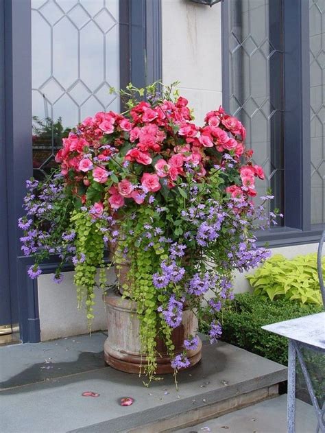30 Gorgeous Spring Flowers Ideas For Your Garden Gardening Garden Gardendesign Potted
