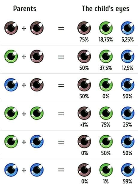 Choose Your Babys Eye Color The Fertility Institutes Offers Eye
