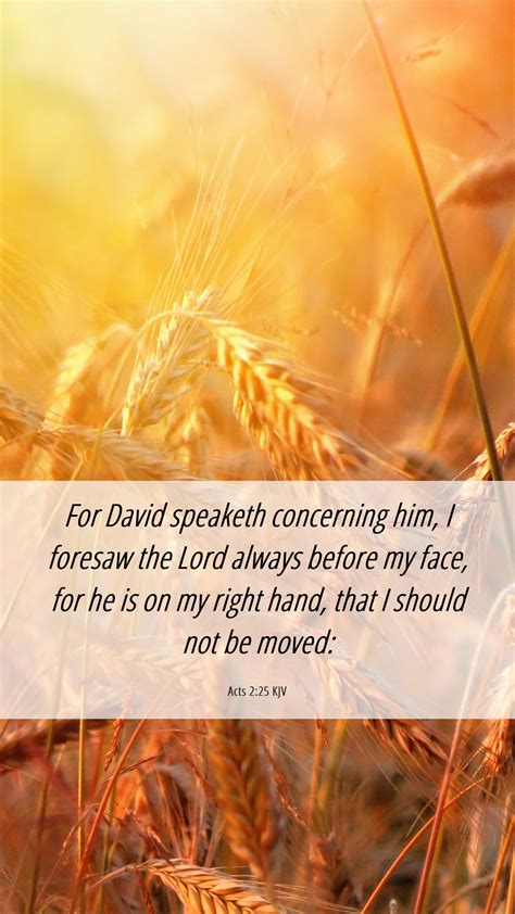 Acts 225 Kjv Mobile Phone Wallpaper For David Speaketh Concerning