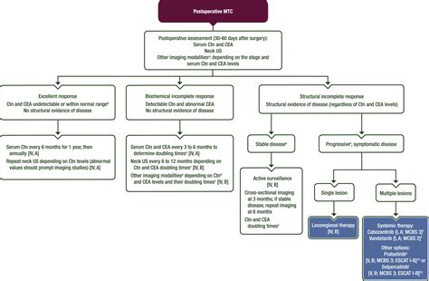 Esmo Clinical Practice Guideline Update On The Use Of Systemic Therapy