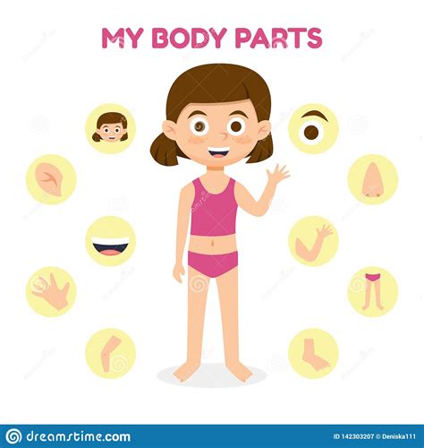 Parts of the body, human body parts: Vector Illustration Of A Girl With Different Parts Of The ...
