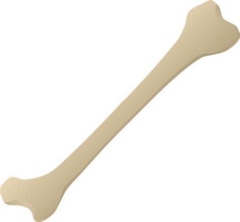 Bone Png