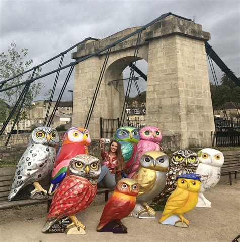Owls Nesting At New Bath Riverside Hq Minervas Owls Bath Sculpture Trail