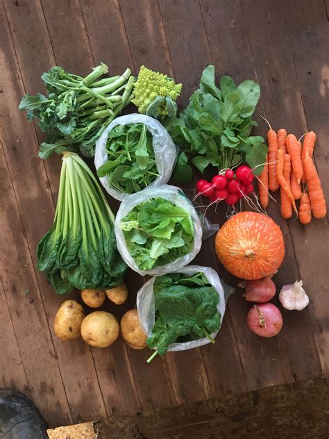 Winter Vegetable Share - Foothill Roots Farm