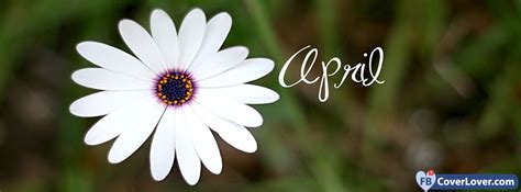 April Flower Seasonal Facebook Cover