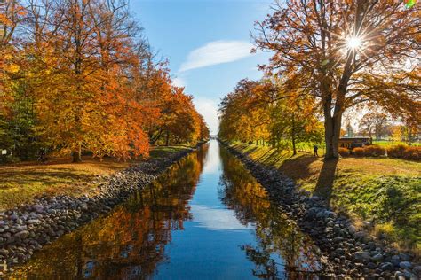 River Between Brown Leafed Trees During Daytime · Free Stock Photo