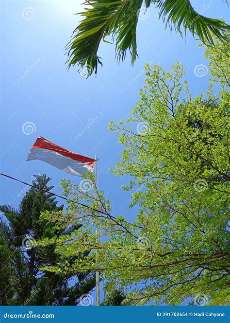 The Red And White Flag Of Indonesia Is Flying Among The Green Leaves