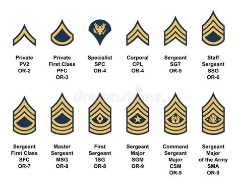 Army Enlisted Rank Insignia Vector Complete Collection Of Army