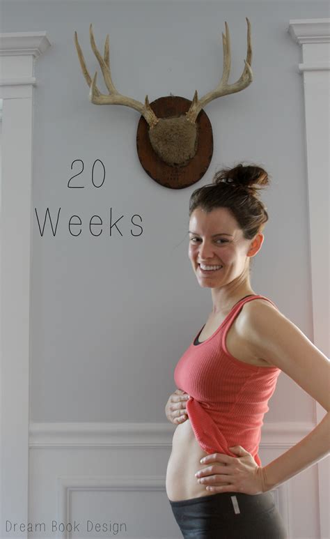 20 Weeks Pregnant Dream Book Design